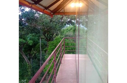 Madikeri House | Tranquil Glass House By Coorg Tree House