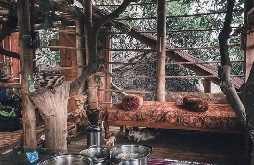 Narayanapura Other | Tree and Mud House