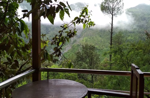 Kaul House | Tree House on Oak Tree at Silent Valley Alchauna Along River Kalsa