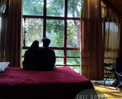 Sulthan Bathery Resort | Tree House Wayanad
