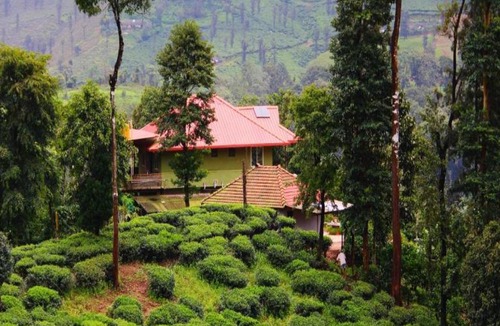 Mudigere House | TripThrill Hasiru Homestay