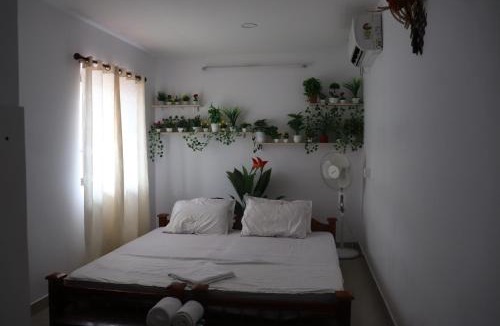 Munroe Island Bed & Breakfast | Turtle Island - Homestays