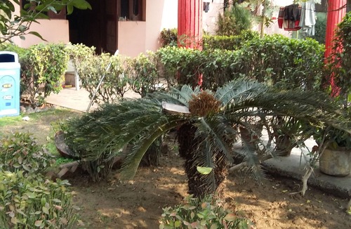 Delhi House | Vacation Farm House Enjoyable palace for Stay .it's soo sweet palce .we l nice