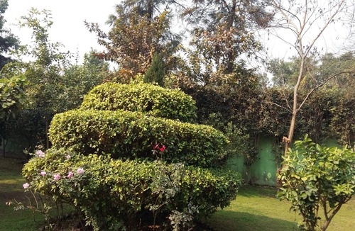 Delhi House | Vacation Farm House Enjoyable palace for Stay .it's soo sweet palce .we l nice