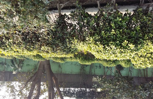 Delhi House | Vacation Farm House Enjoyable palace for Stay .it's soo sweet palce .we l nice