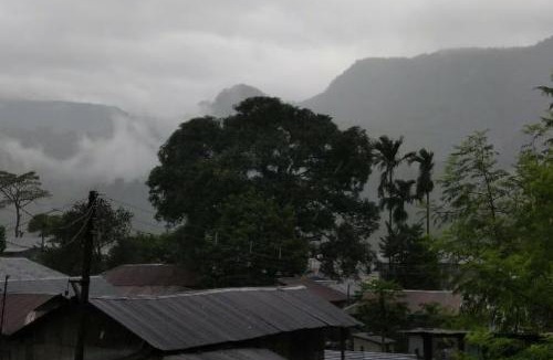 Alipurduar Cabin | Vamoose Aaltapori