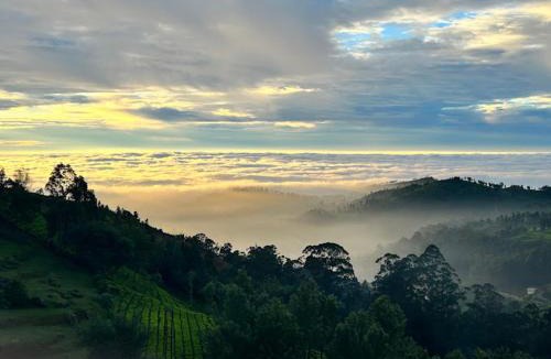 Ooty Bed & Breakfast | Vanam Holidays