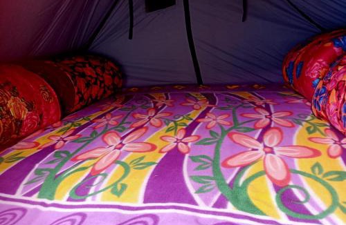 Kedarnath Other | VASHU CAMPSITE KEDARNATh