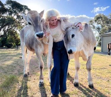 Boweya House | Victorian Farm stay Springbank
