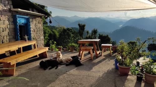 Smanora Range Hostel | Vista Hostel Jeolikote, Nainital