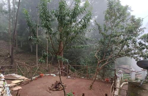 Suryanelli House | Voyage Munnar Laya Home Stay