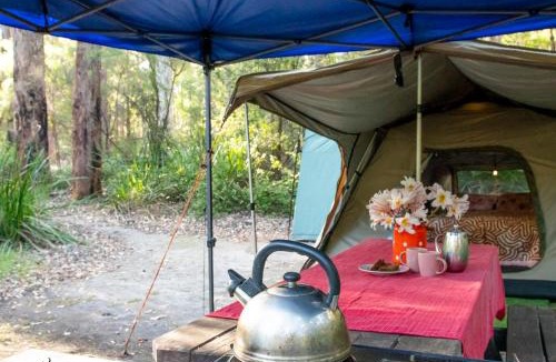 Yeagarup Other | WA Wilderness Camping Experience