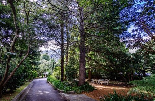 Warburton Hotel | Warburton Lodge