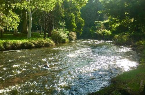 Warburton Hotel | Warburton Motel
