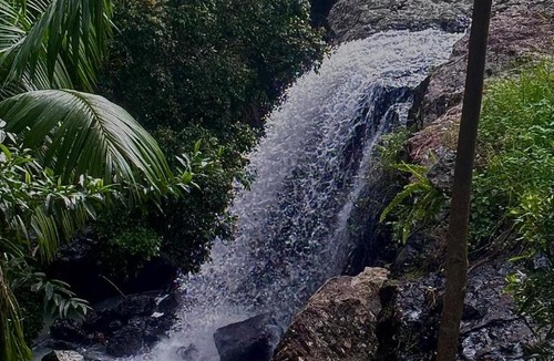 Carool Apartment | Waterfall Lodge