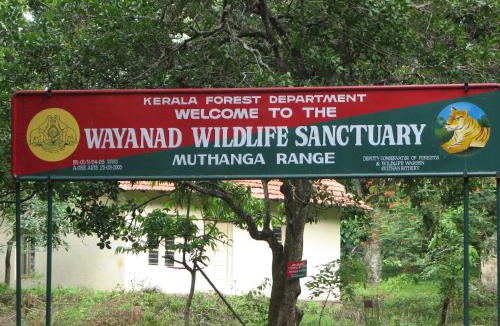 Khattalwada Other | Wayanad Wildlife Sactuary Bamboo Groves