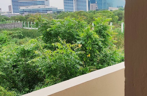 Karappakam Apartment | White Pearl Homestay - Fully Furnished Private Room