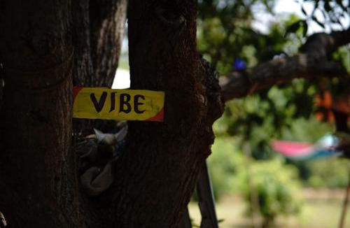 Auroville Hostel | WoodPacker Hostel Pondicherry