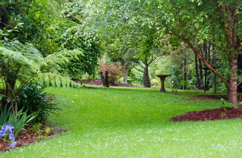 England Creek Cottage | Yellow Robin Cottage: Mt Glorious Getaways