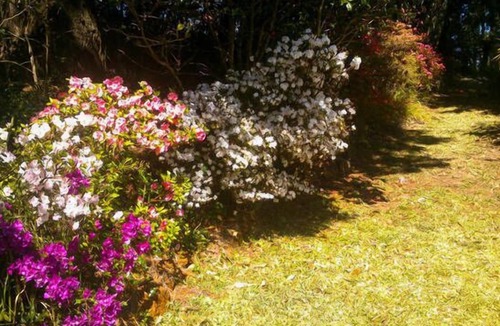Stanwell Tops Apartment | YellowtailStay - The Red Room - Bald Hill Stanwell Tops,