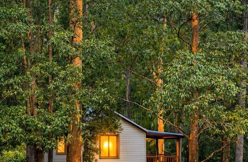 Ellenborough Cabin | Yulo Kopa