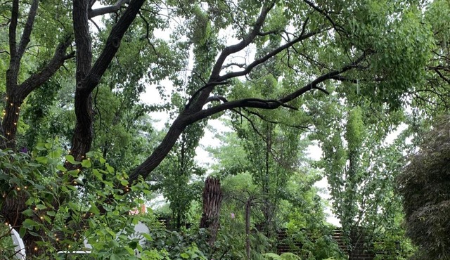 Ananda Cottage