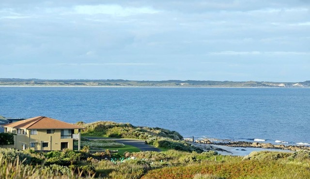 Augusta Beachfront Holiday Home - watch the whales go past or over the road for a swim - Augusta Beachfront Holiday Home