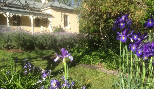 Auntie Eileen's Cottage -A gentle farm experience just a stroll from the village