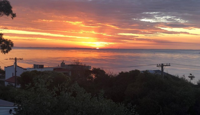 Bay Panorama