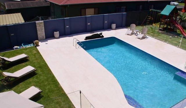 BEACHSIDE BLISS- Warilla
