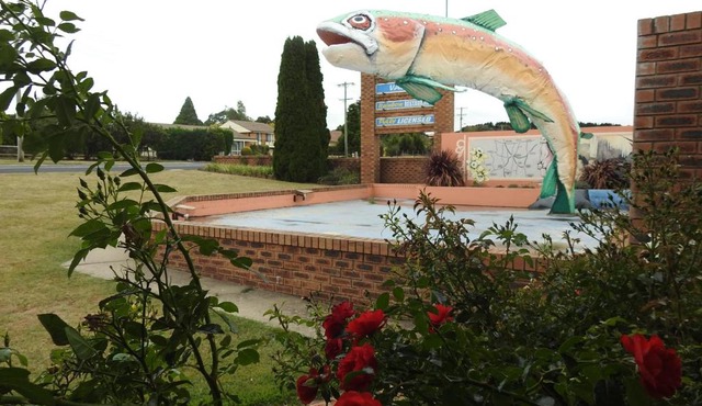 Big Trout Motel