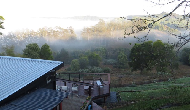 Byron Bay Hinterland “Mists of Avalon”