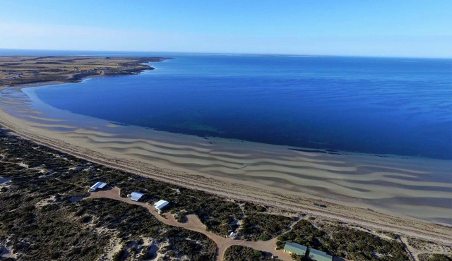 Ceduna Shelly Beach Beachfront Villas