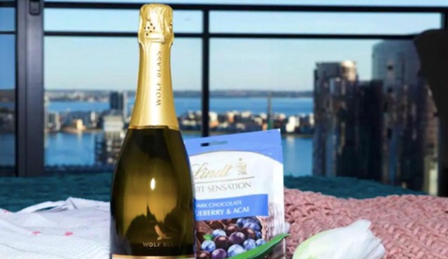 CENTRAL CBD EXEC STUNNING VIEW WIFI NETFLIX WINE in Perth