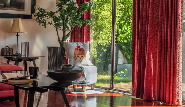 Central & Tranquil Home + Private Studio in Inner South Canberra
