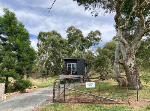 Cherry Tree - Merigan Farm Stay - Bungendore - Mount Fairy