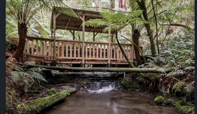 Cottage with private Rainforest and Waterfalls in Tanybryn, Victoria