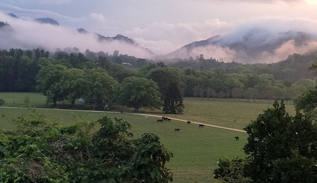 Crystal Creek Cottage- Farm stay