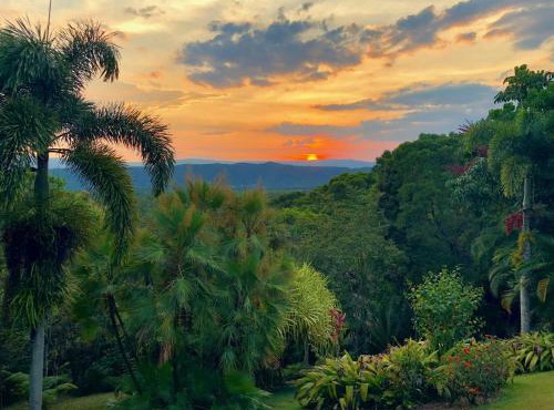 Daintree Manor B&B