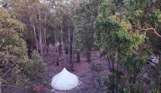 Eversprings Glamping - Eco retreat - Mirkwood