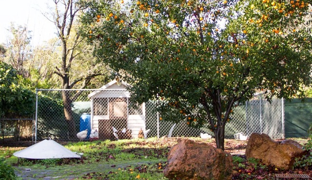 Farview Guest Accommodation
