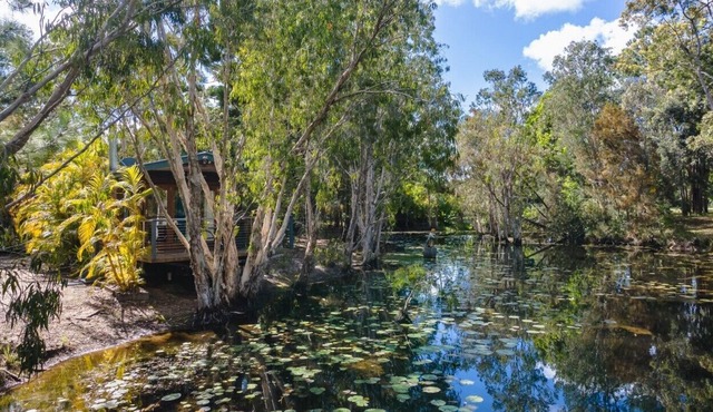 LAKE VIEW.