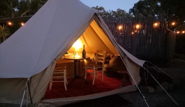 Macedon Ranges Glamping with kangaroos - Tent