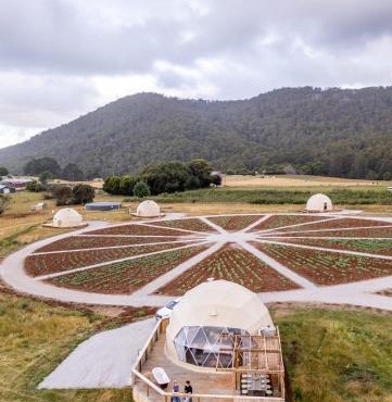 Mount Gnomon Farm