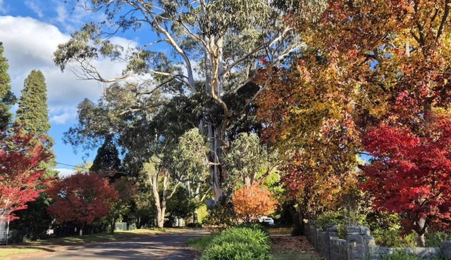 Old Bowral: Quiet, private, 1 bedroom cottage, undercover parking, walk to town.