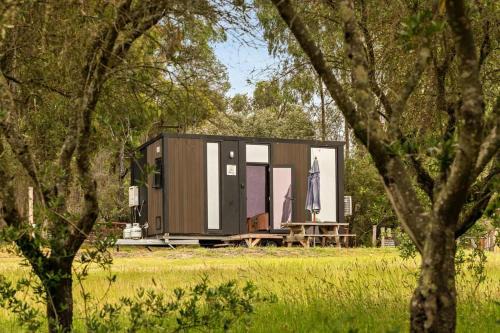 Olive Sanctuary by Tiny Away