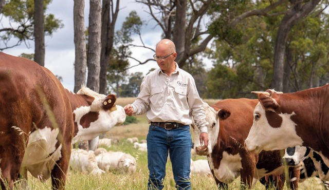 On farm accommodation in the beautiful South West of WA.