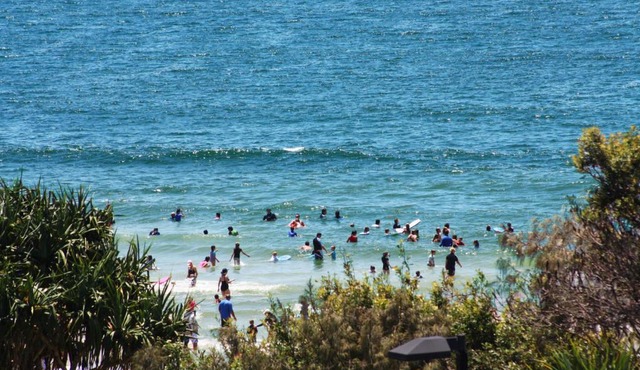 Pacific Towers Unit 4 19 Ormonde Tce Kings Beach