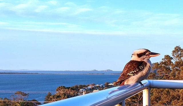 Pacific Waters - Unbeatable Views of Port Stephens