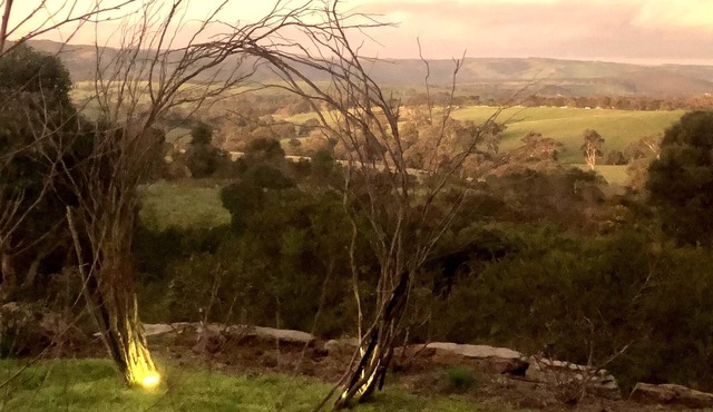 Pear Tree Hollow Cottage. For couples who love nature.